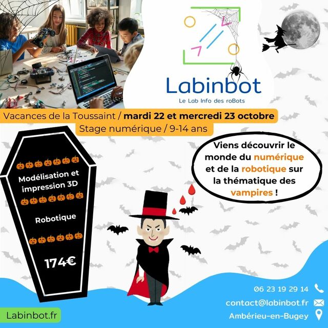 image du post Stage "Robotique / Impression3D" 9-14 ans 