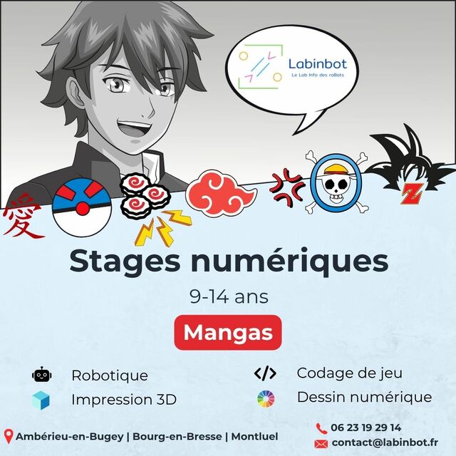 Image de l'actualité Stage Mangas | Robotique - Impression 3d - Codage de jeu - Dessin numérique