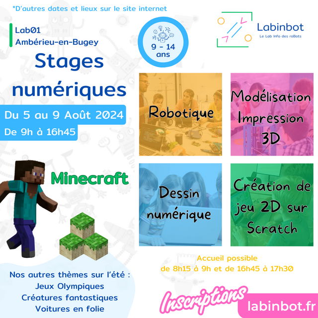 image du post Stages été numérique 9-14 ans "Minecraft"