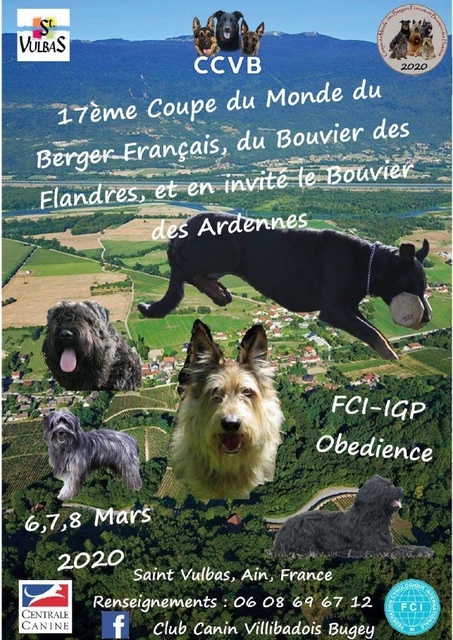 Image de l'actualité Coupe du Monde du Berger Français, du Bouvier des Flandres et en invité le Bouvier des Ardennes