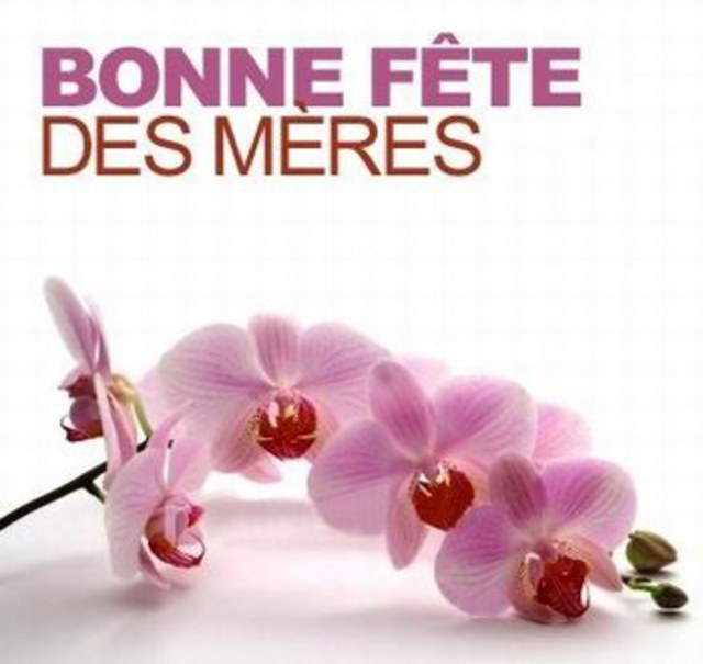 Image de l'actualité La fête des mères approchent un cadeau bien-être !!