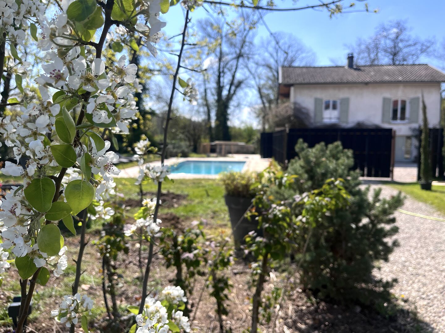 maison glycine et piscine