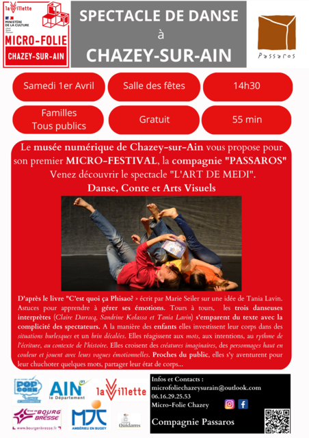 image du post Spectacle de Danse