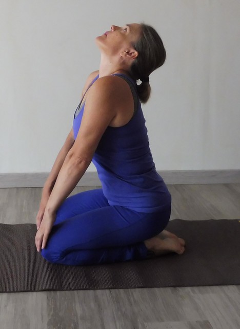 Image de l'événement STAGE DE YOGA HORMONAL