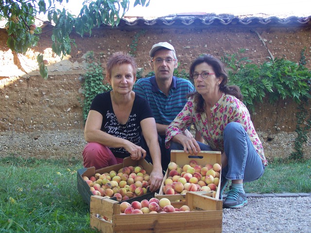 logo de l'organisation LIENS ALIMENTS TERRE
