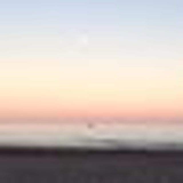 Avatar de l'utilisateur Patricia Varrel