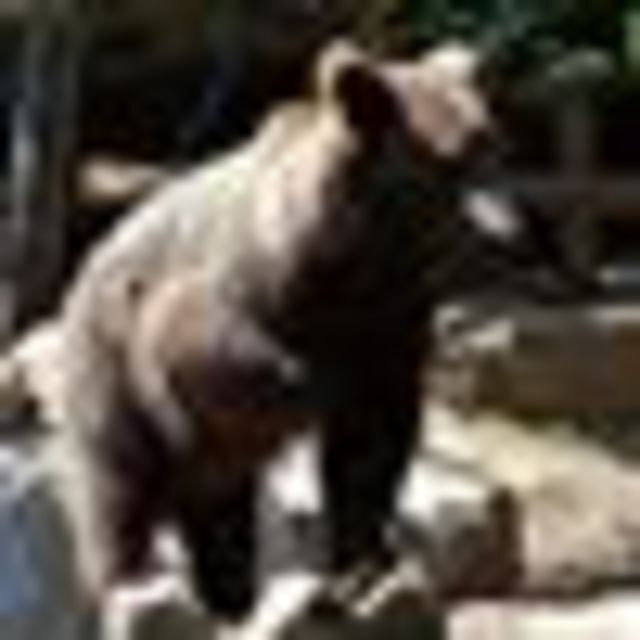 Avatar de l'utilisateur Karine Guillon