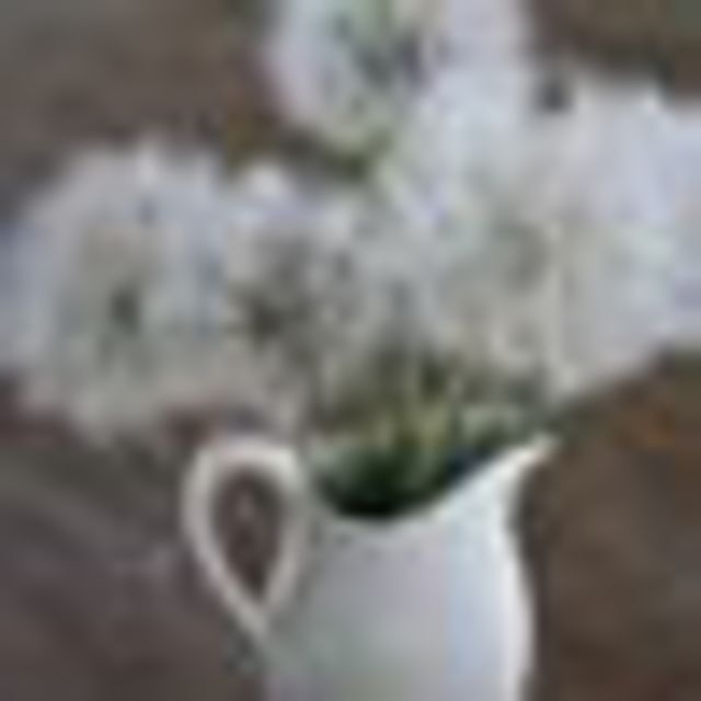 Avatar de l'utilisateur DELPHINE DOST