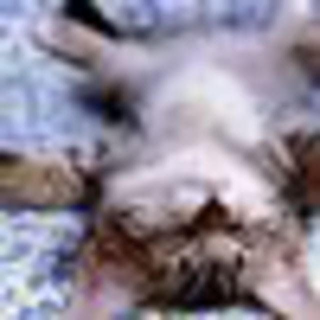 Avatar de l'utilisateur veronique freche