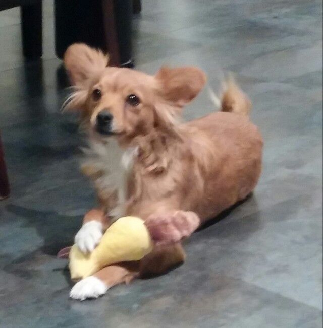 Avatar de l'utilisateur laurence regnie