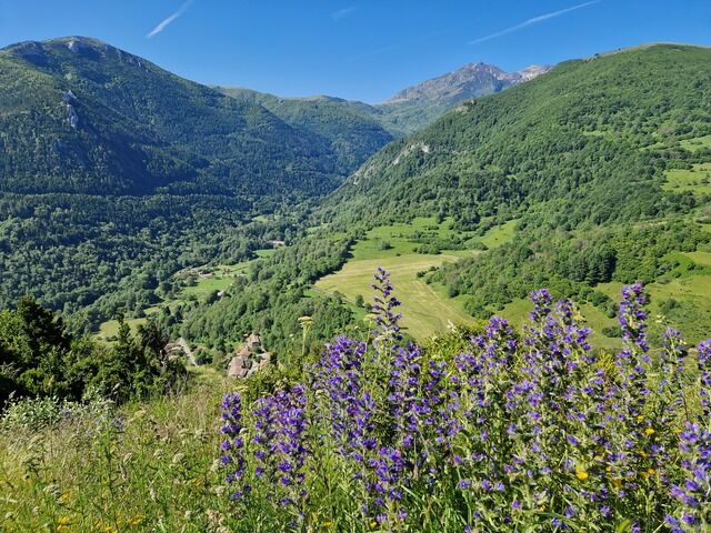 Avatar de l'utilisateur Adeline Dancette