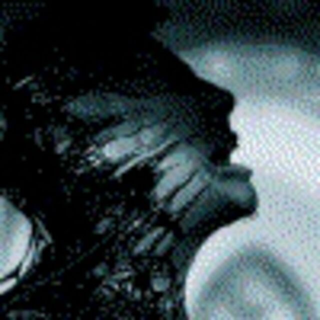 Avatar de l'utilisateur Anastasia Nelson