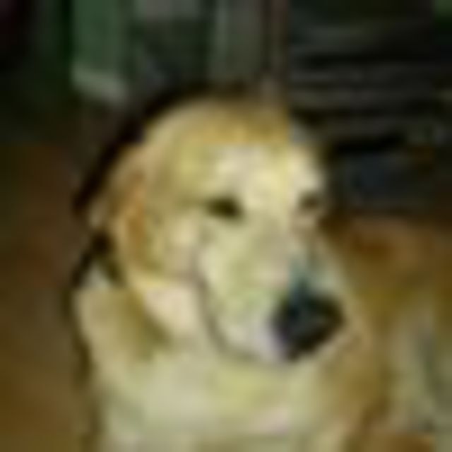 Avatar de l'utilisateur Bruno Dujardin