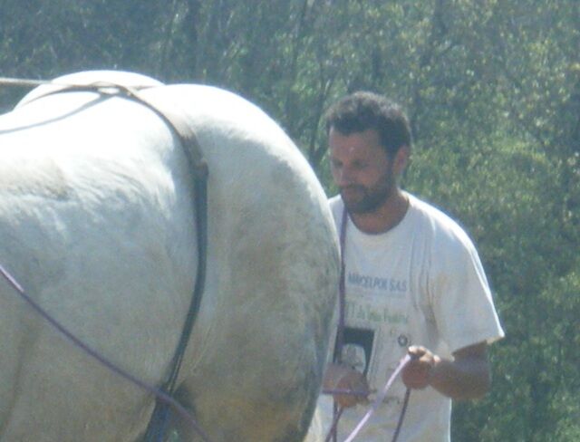 Avatar de l'utilisateur benoit dufour