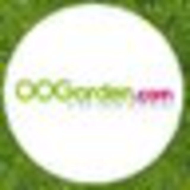 Avatar de l'utilisateur Romain Laval