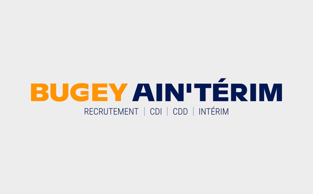 logo de l'organisation AIN'TERIM