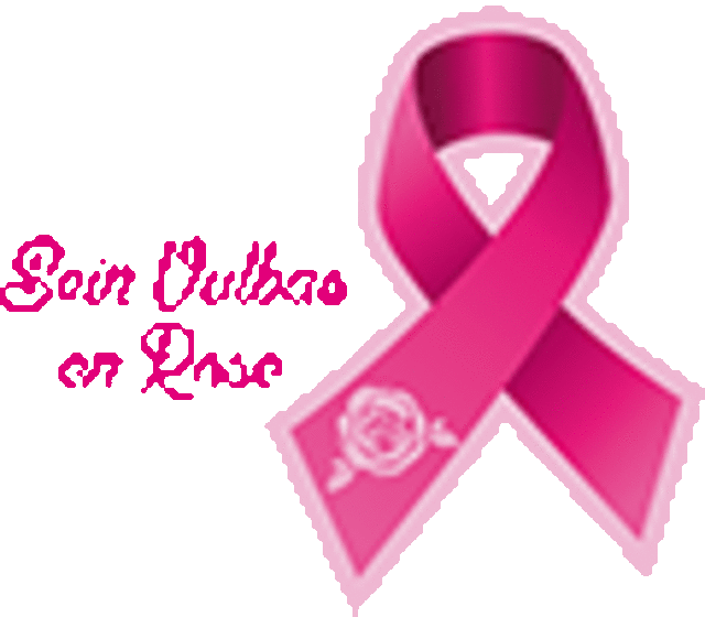 logo de l'organisation SEIN VULBAS EN ROSE