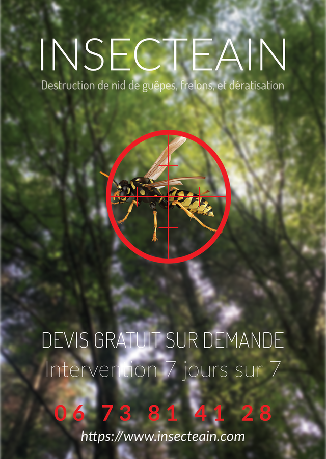 logo de l'organisation insecteain 